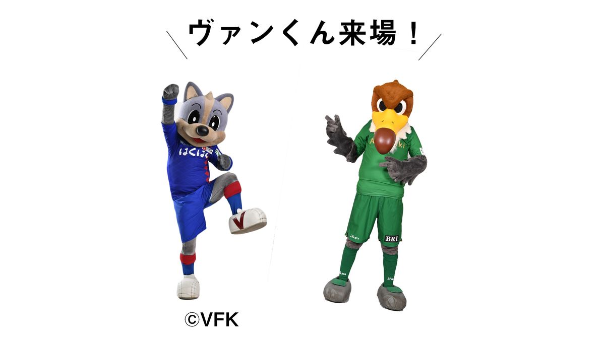 ヴァンくん来場のお知らせ | 東京ヴェルディ / Tokyo Verdy