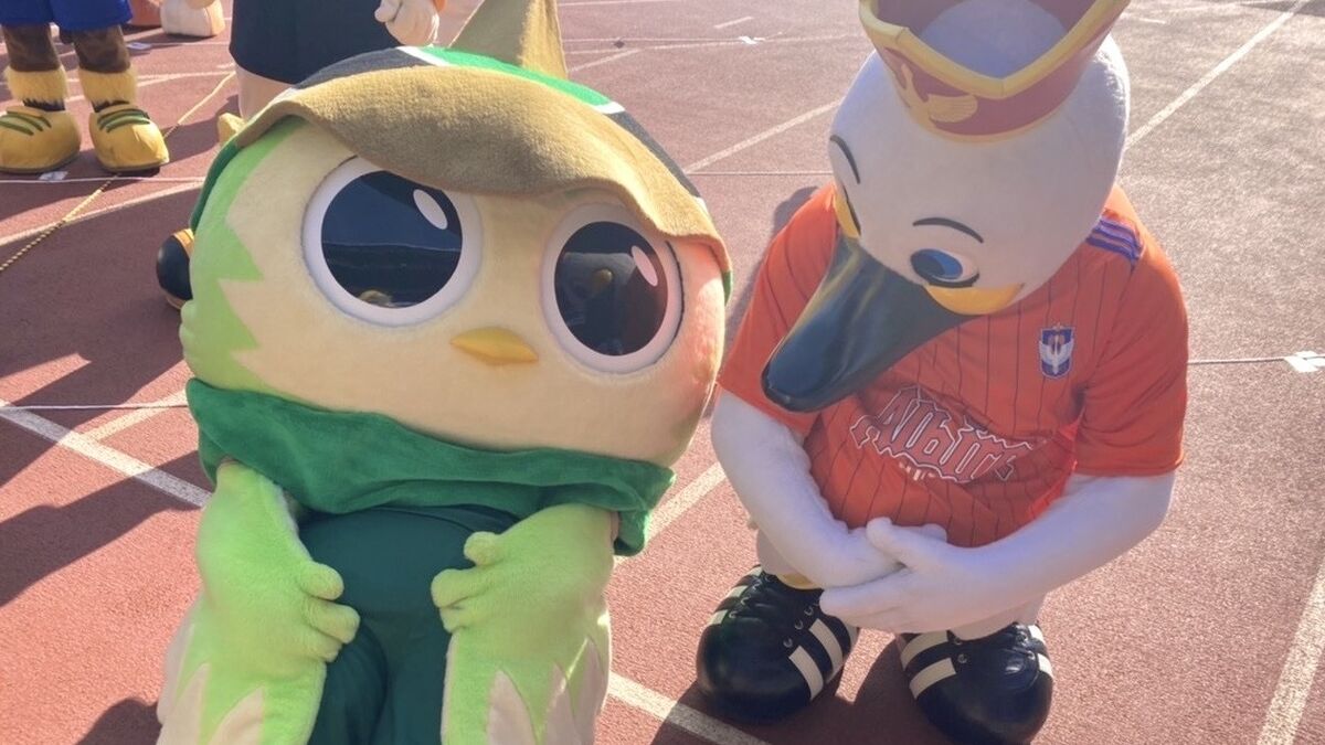 アルビくん』来場のお知らせ | 東京ヴェルディ / Tokyo Verdy