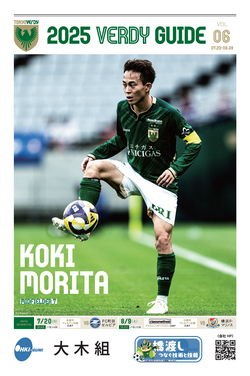 VERDY GUIDE Vol.6 (PDF)
