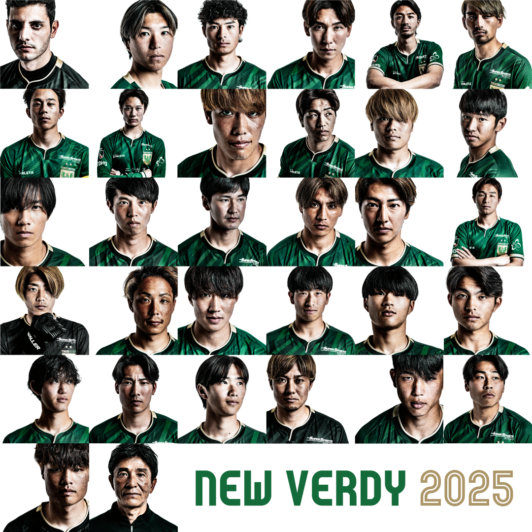 NEW VERDY 2025