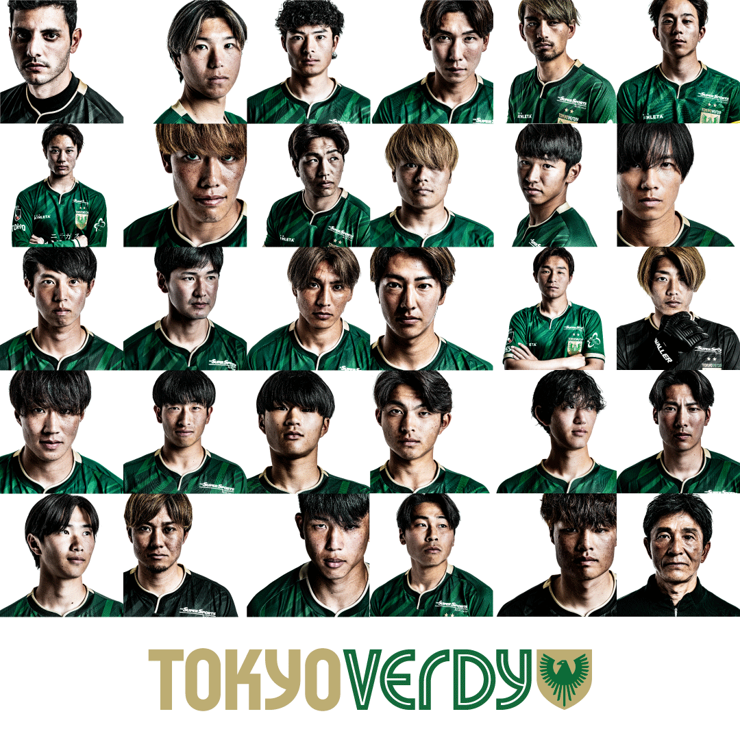 NEW VERDY 2025