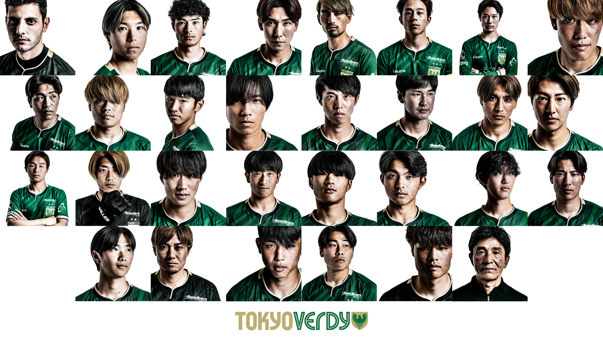 NEW VERDY 2025